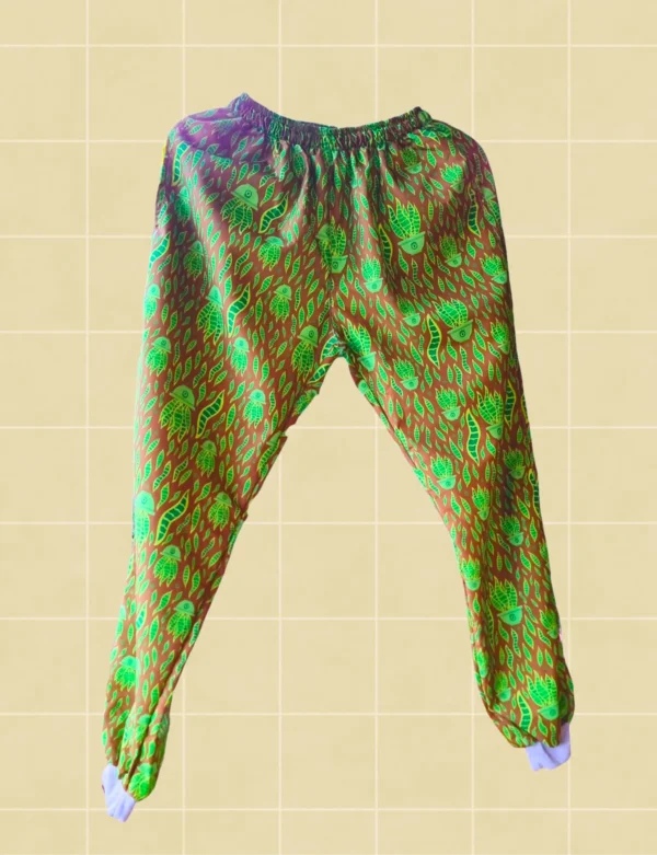 Buzo sansevieria cafe