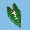 Porta incienso alocasia