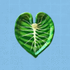 Porta incienso alocasia