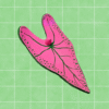Porta incienso caladium