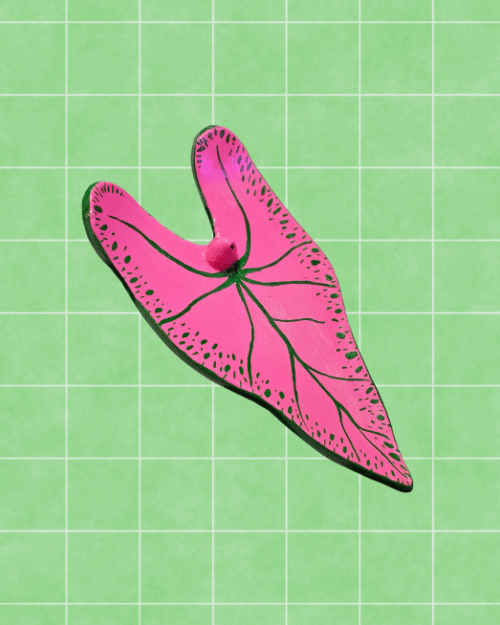 Porta incienso caladium