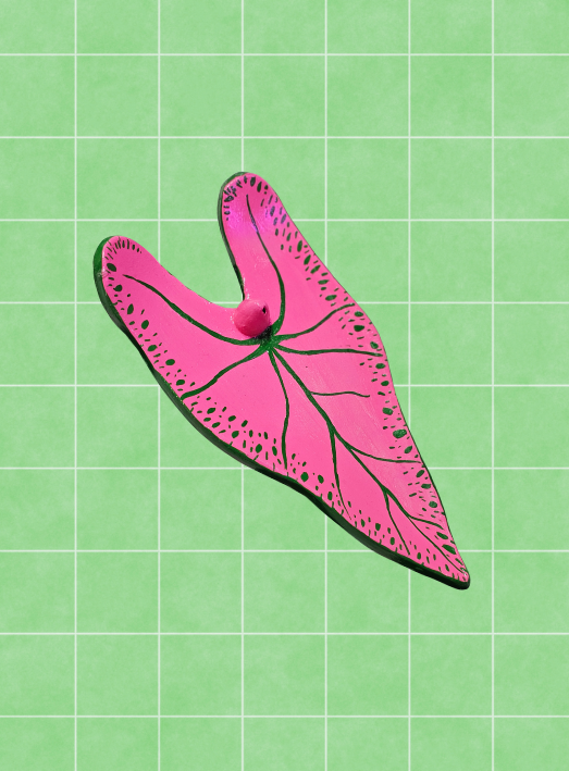 Porta incienso caladium