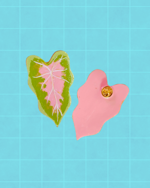 Pin caladium