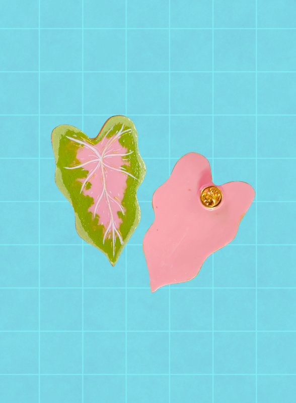 Pin caladium
